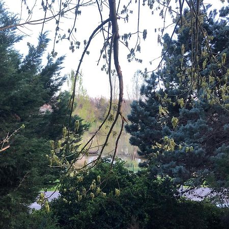 Logement Entier Aussonne Buitenkant foto