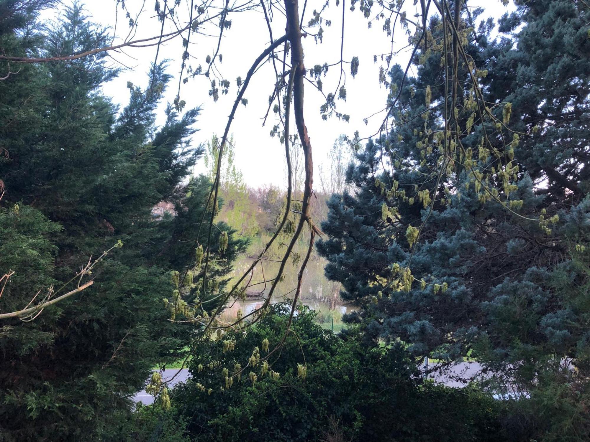Logement Entier Aussonne Buitenkant foto