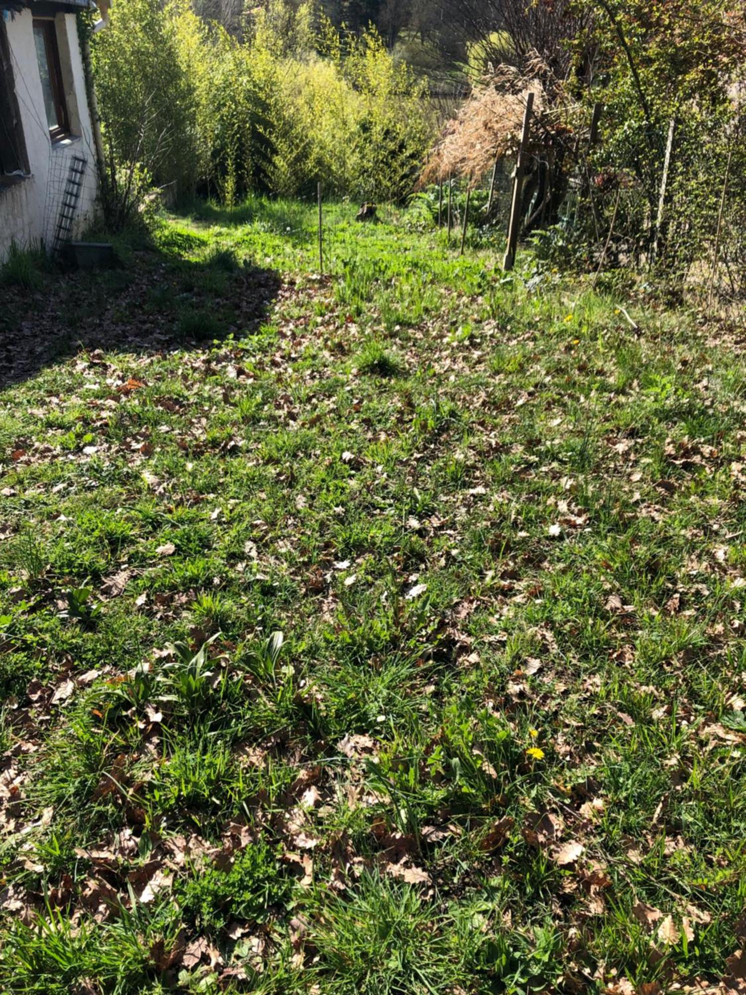 Logement Entier Aussonne Buitenkant foto